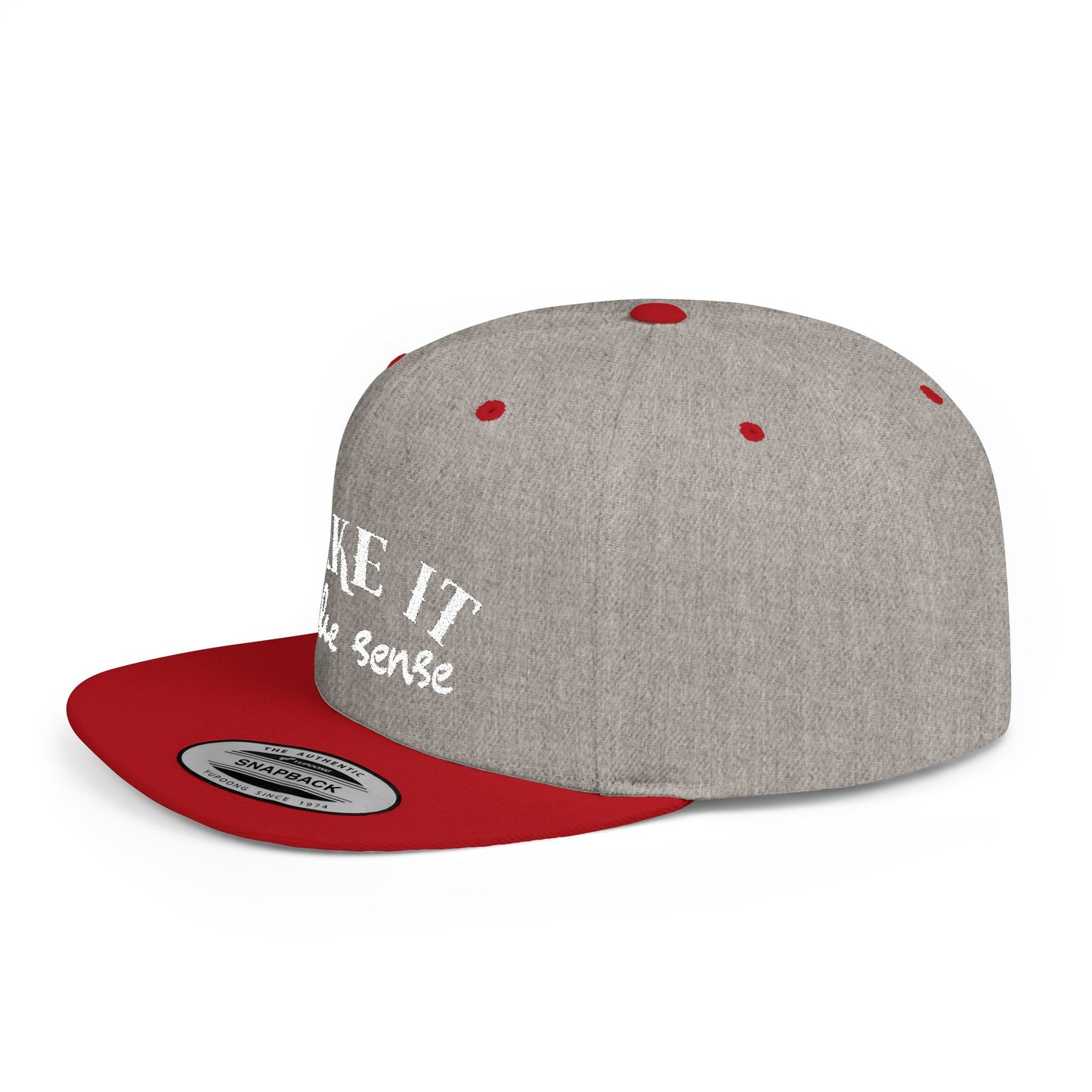 Make It Make Sense Modern Flat Bill Snapback