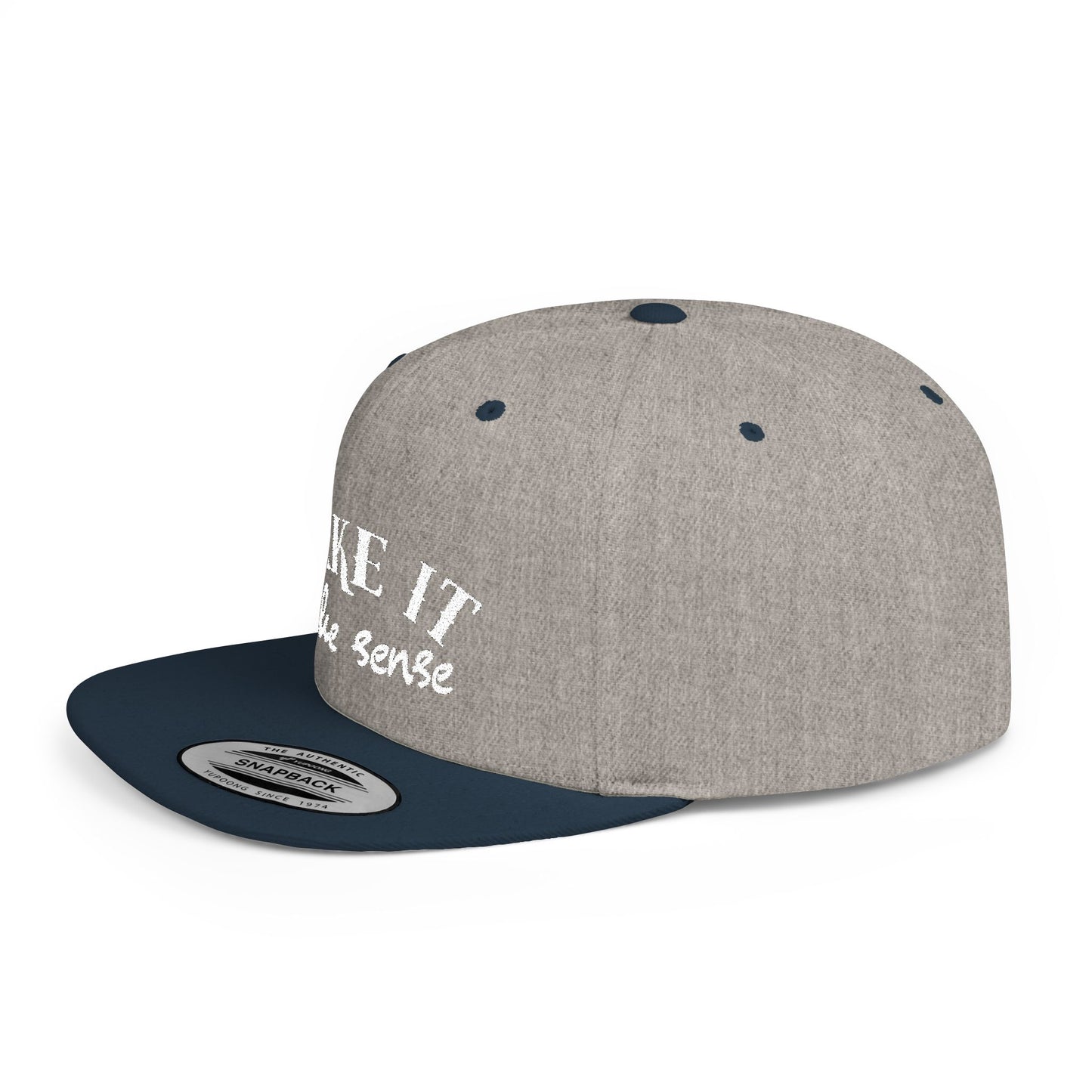 Make It Make Sense Modern Flat Bill Snapback